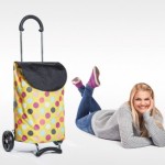 Andersen Shopper Einkaufsroller